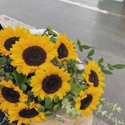 BET9官方APP下载正版app下载