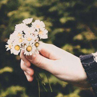 AOA体育手机app下载