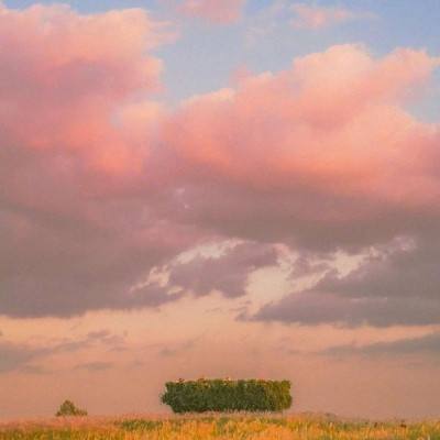 云开官方app下载