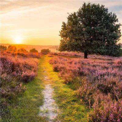 开云·体育平台app下载