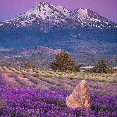 天博网页版入口官网