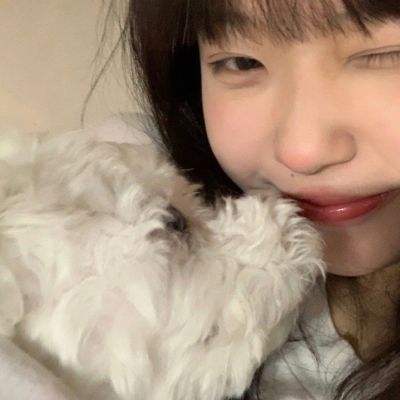 半岛bob·体育官方网站